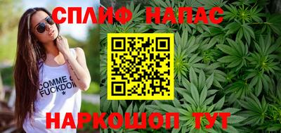 Альфа ПВП Камышлов