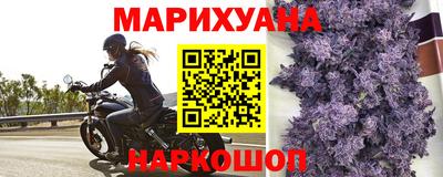 Альфа ПВП Камышлов