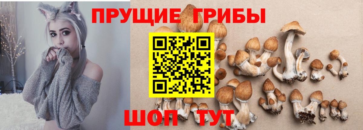 Галлюциногенные грибы ЛСД  Вход с VPN  Фрязино 