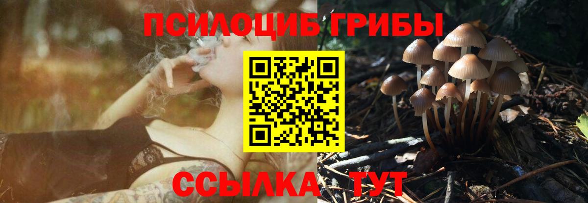 Псилоцибиновые грибы Cubensis Фрязино